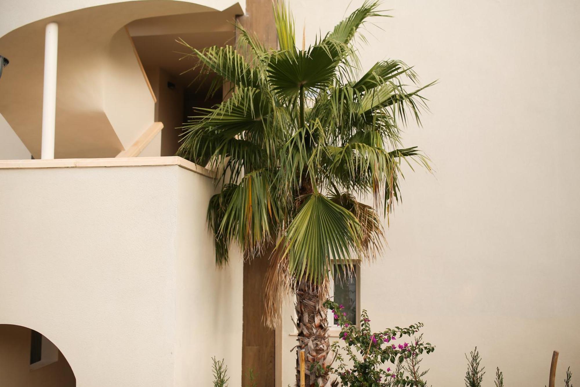 Modern Flat With Montgo View Apartman Denia Kültér fotó